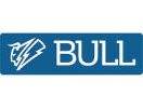 BULL