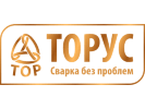 Торус